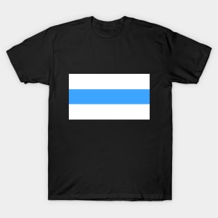 New Russian Flag - white blue white. T-Shirt